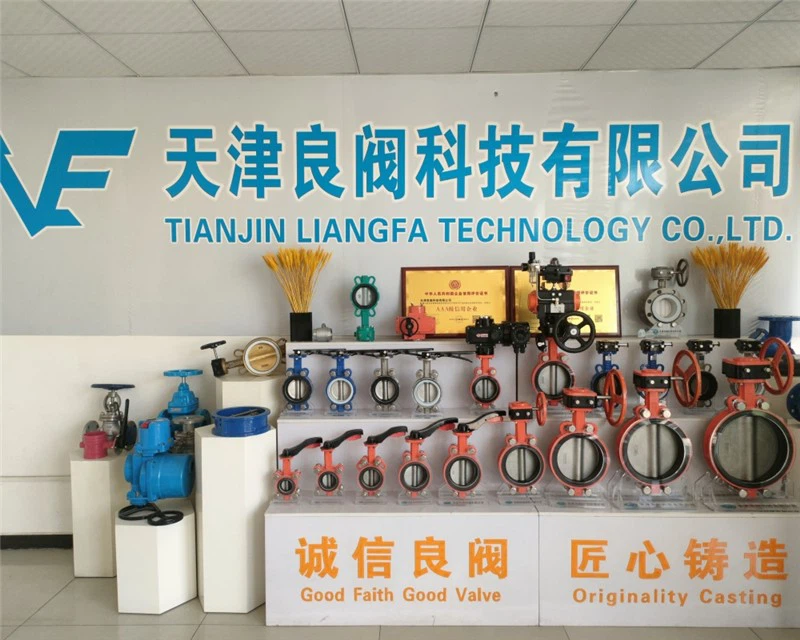 Large diameter electric flange butterfly valve